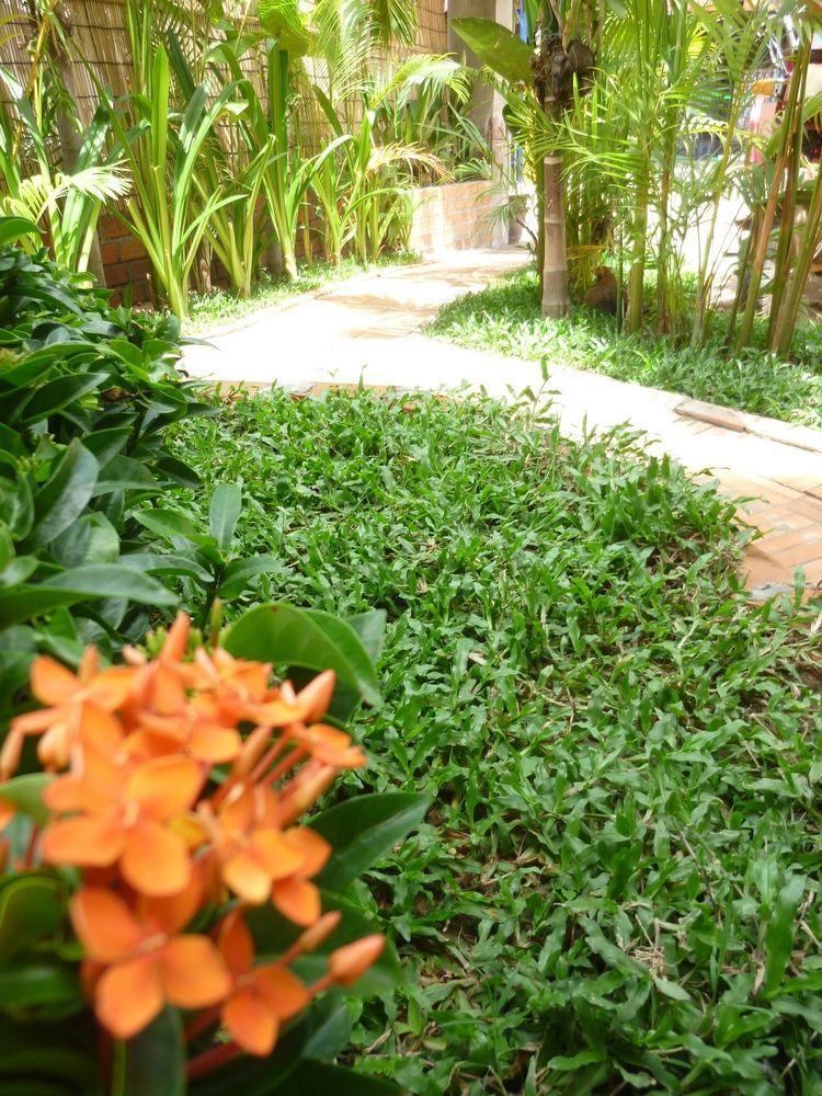 Angkor Reas Guesthouse Сиемрип Экстерьер фото